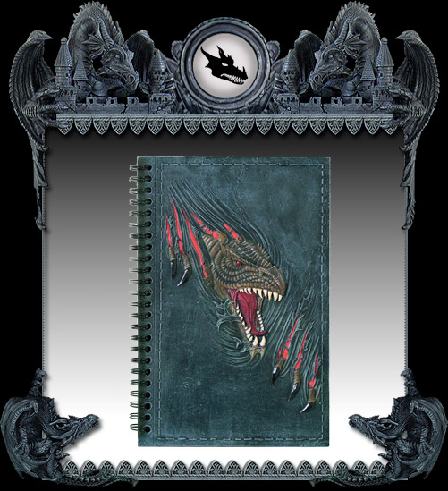 "Dragon Eye" notebook